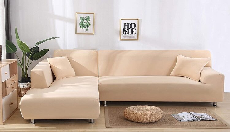 Sofa Purchase