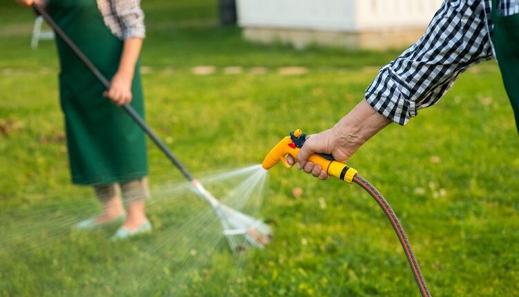 Lawn Care TIps