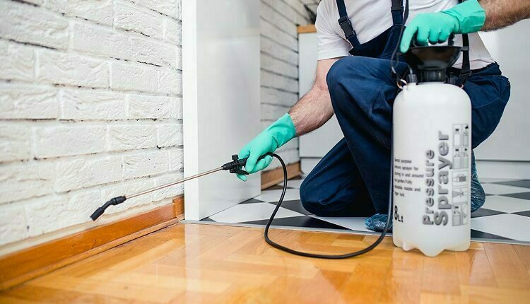 Pest Control