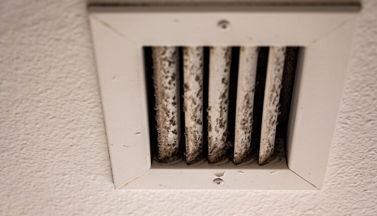 preventing-mold-formation-in-your-hvac-system