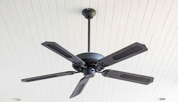 Ceiling Fan