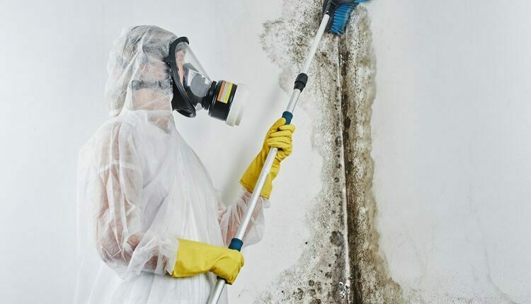 Brooklyn Mold Removal