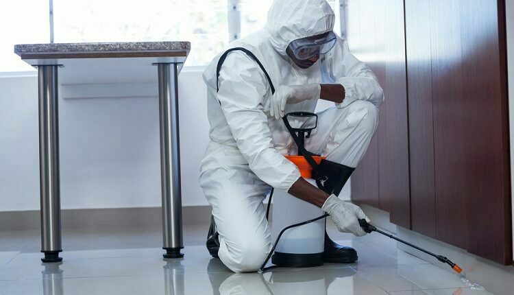 Pest Control